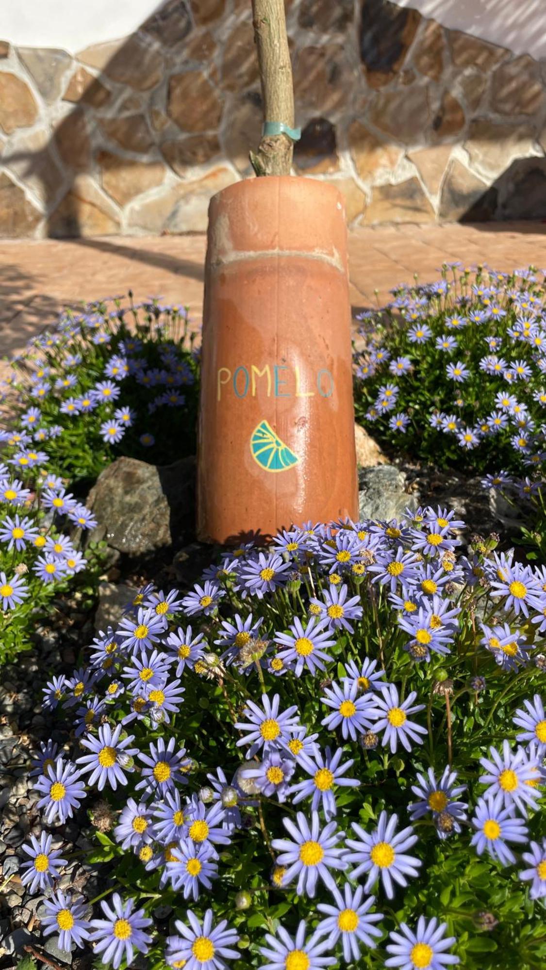 Finca Valle Verde Alora Dış mekan fotoğraf