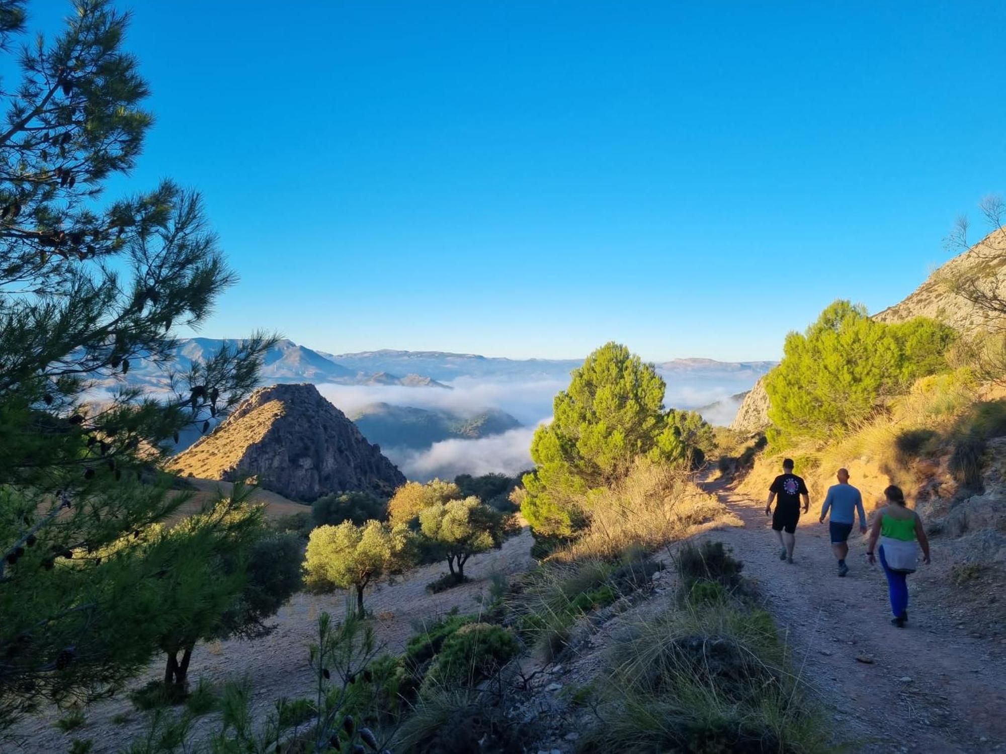 Finca Valle Verde Alora Dış mekan fotoğraf