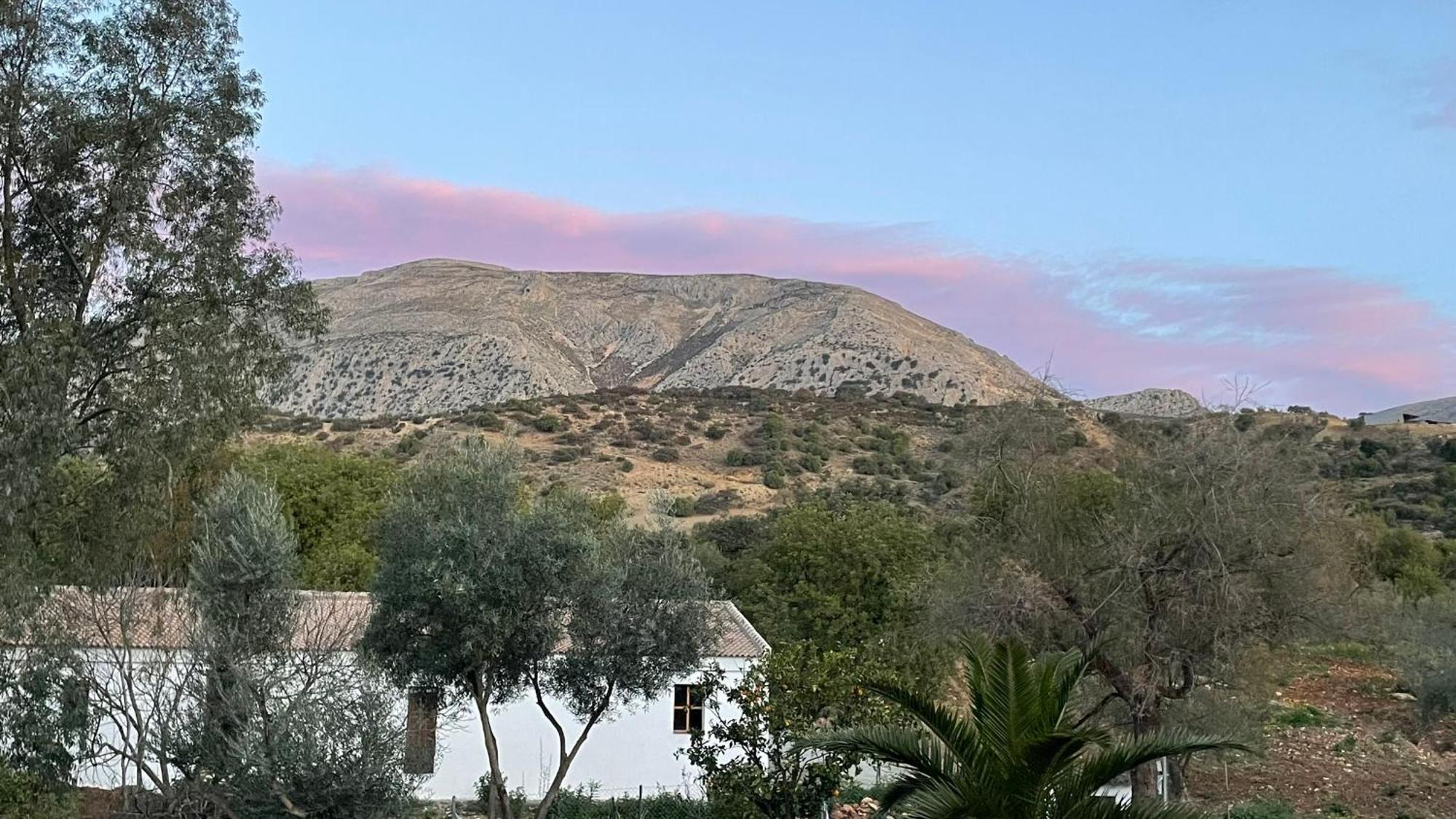 Finca Valle Verde Alora Dış mekan fotoğraf