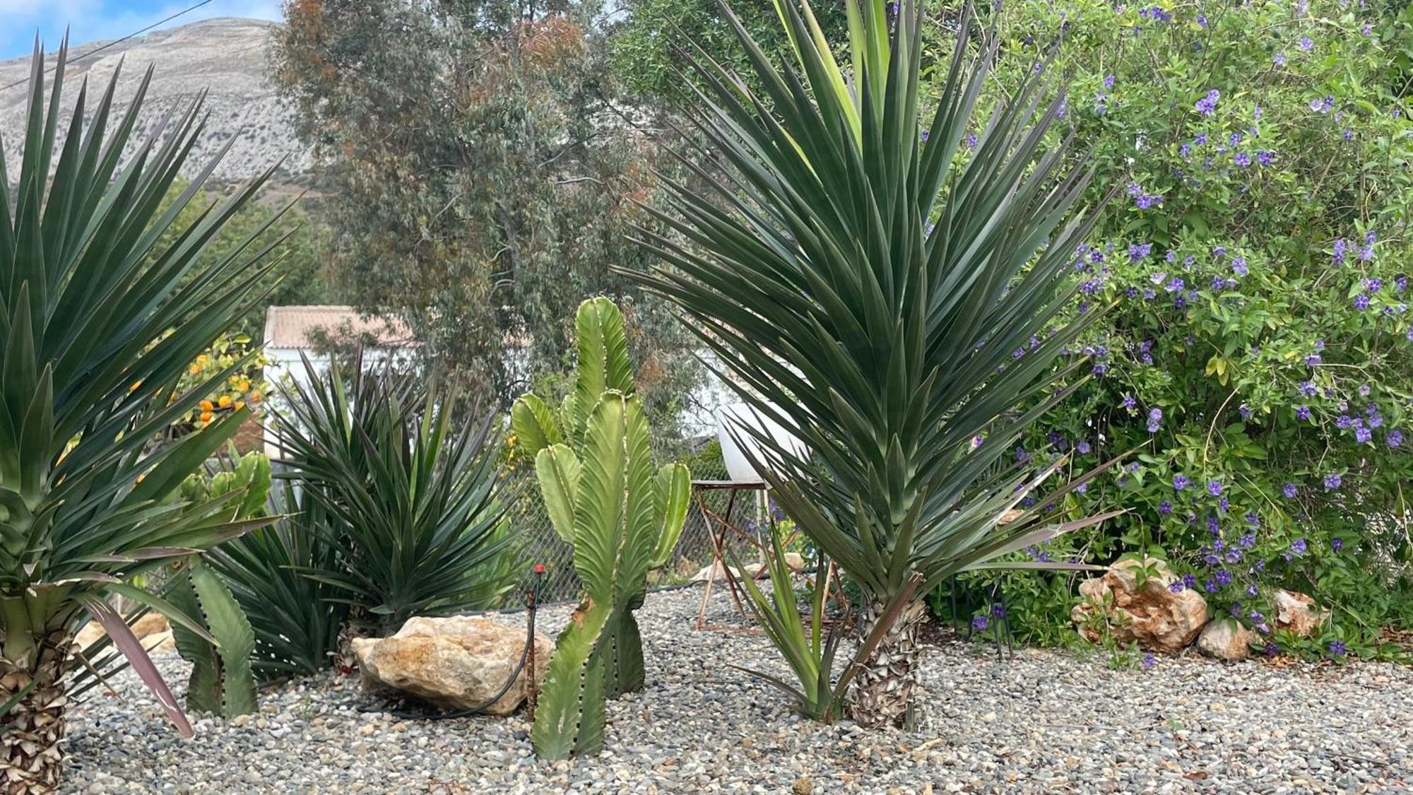 Finca Valle Verde Alora Dış mekan fotoğraf