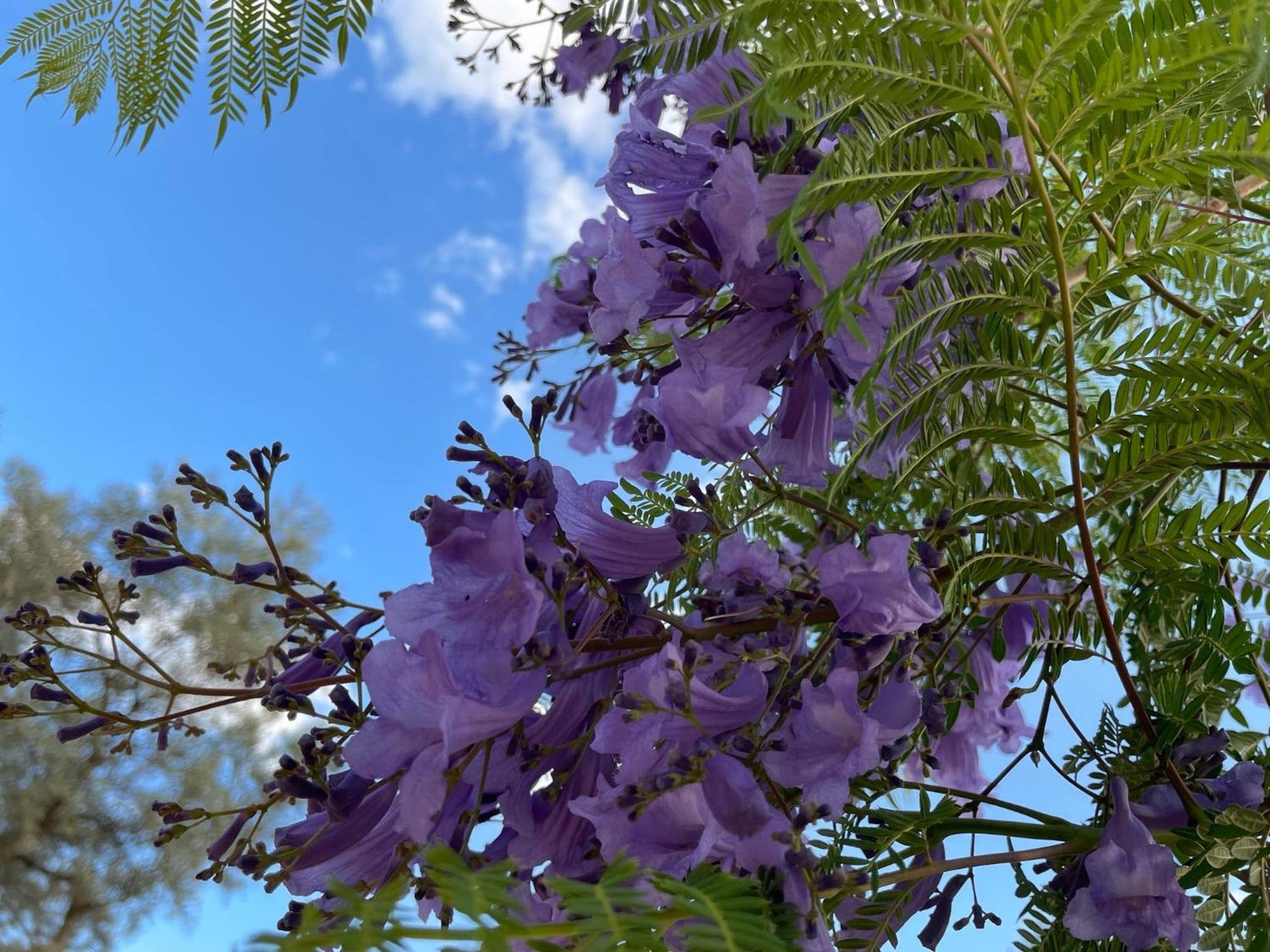 Finca Valle Verde Alora Dış mekan fotoğraf