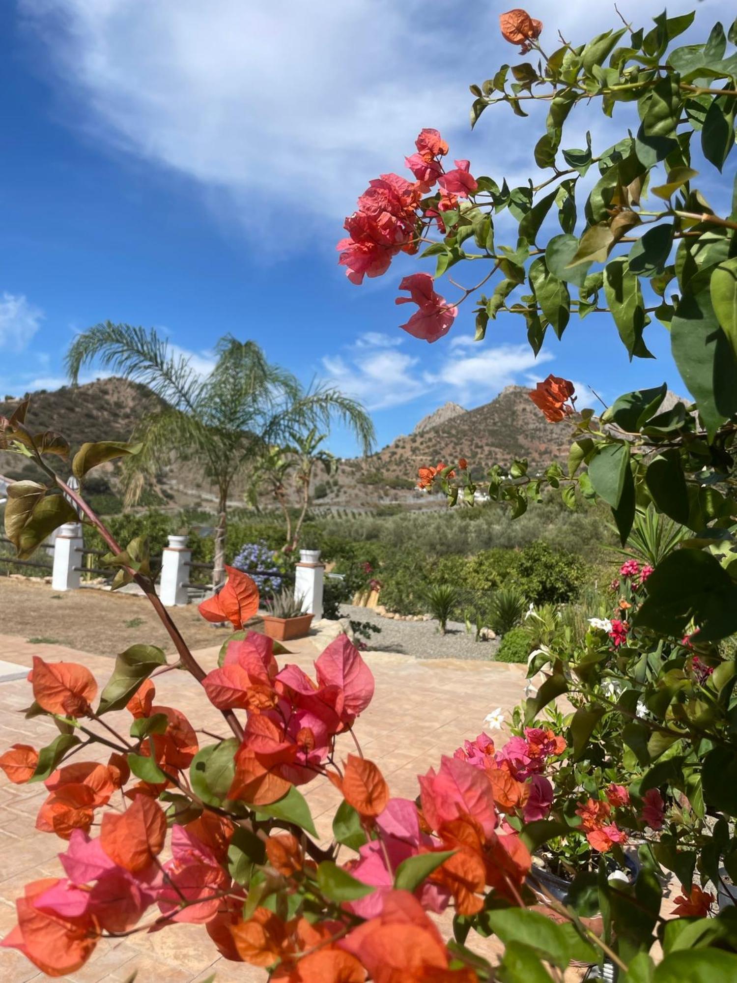 Finca Valle Verde Alora Dış mekan fotoğraf