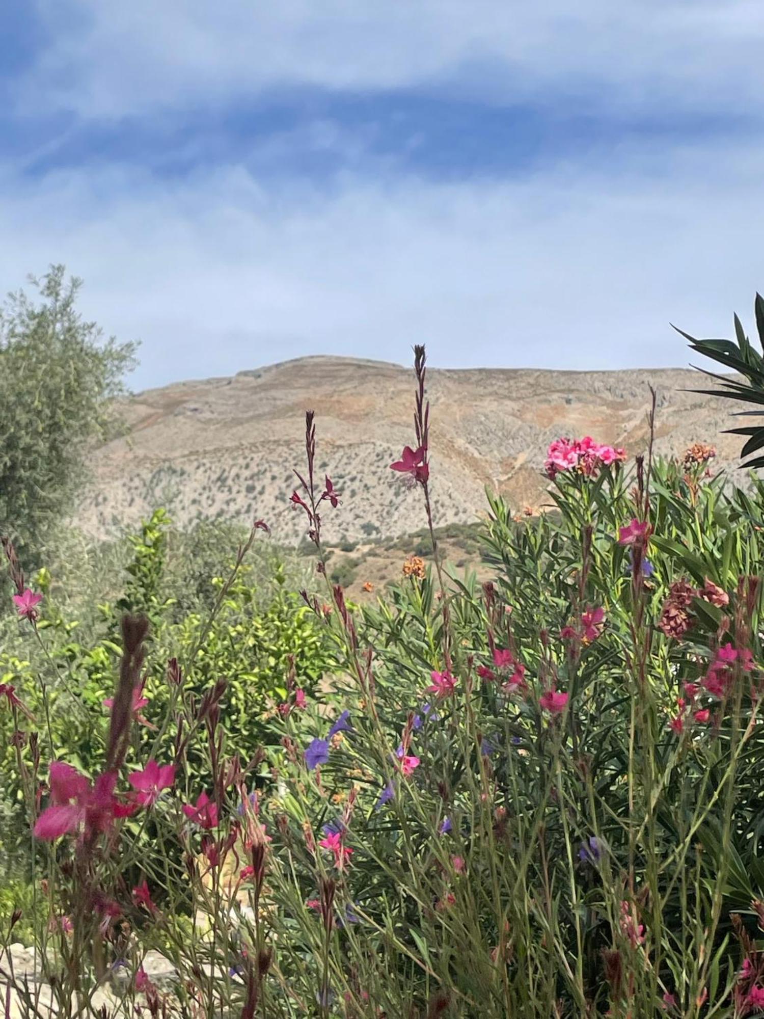 Finca Valle Verde Alora Dış mekan fotoğraf