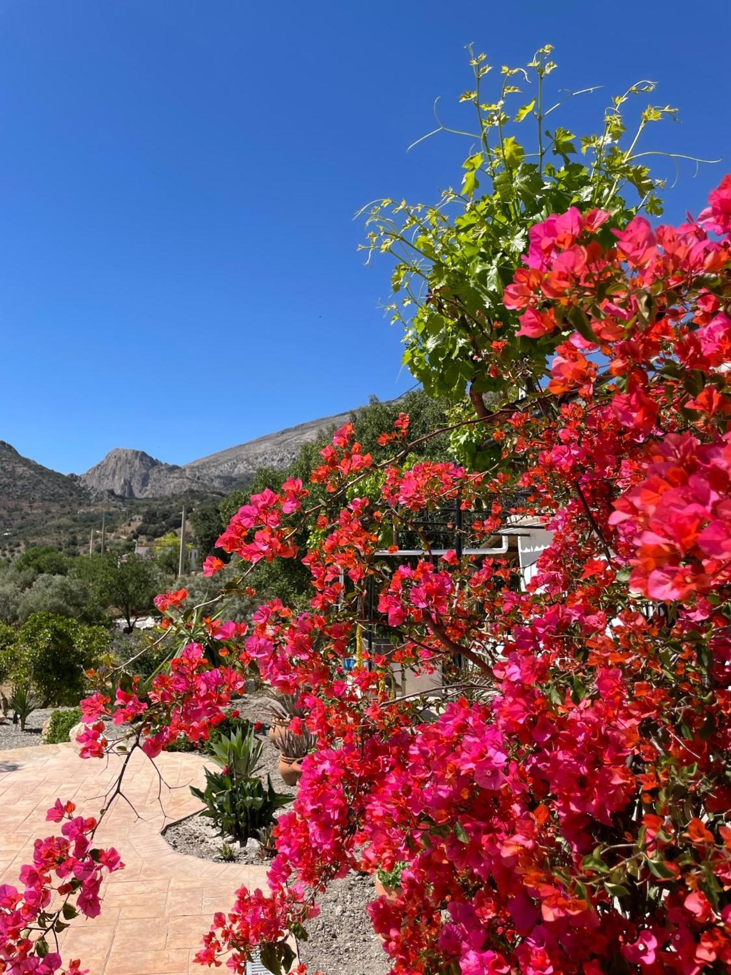 Finca Valle Verde Alora Dış mekan fotoğraf