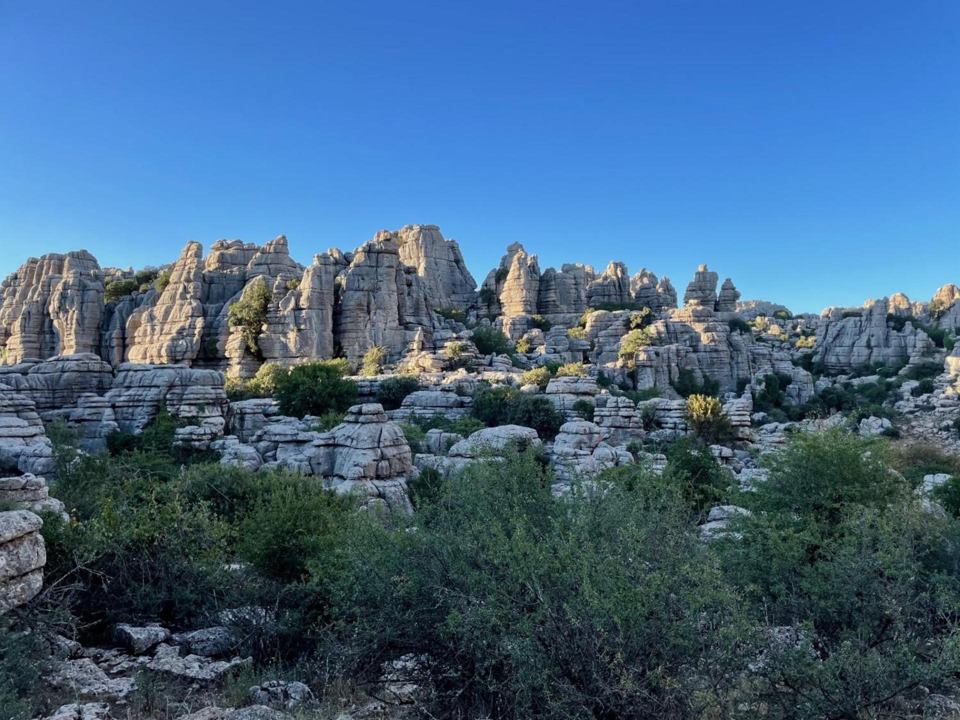 Finca Valle Verde Alora Dış mekan fotoğraf