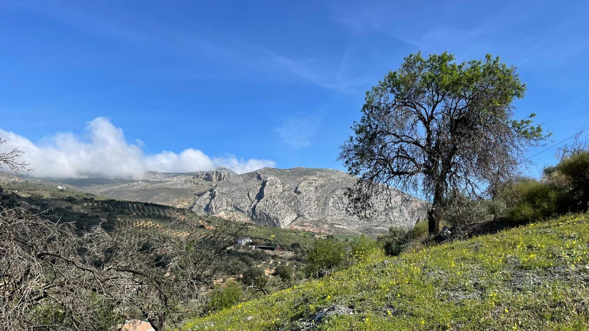 Finca Valle Verde Alora Dış mekan fotoğraf