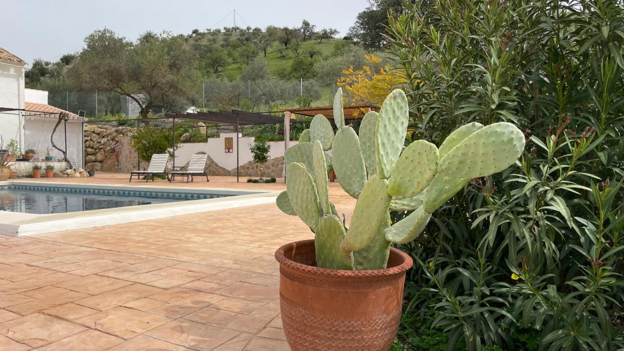 Finca Valle Verde Alora Dış mekan fotoğraf