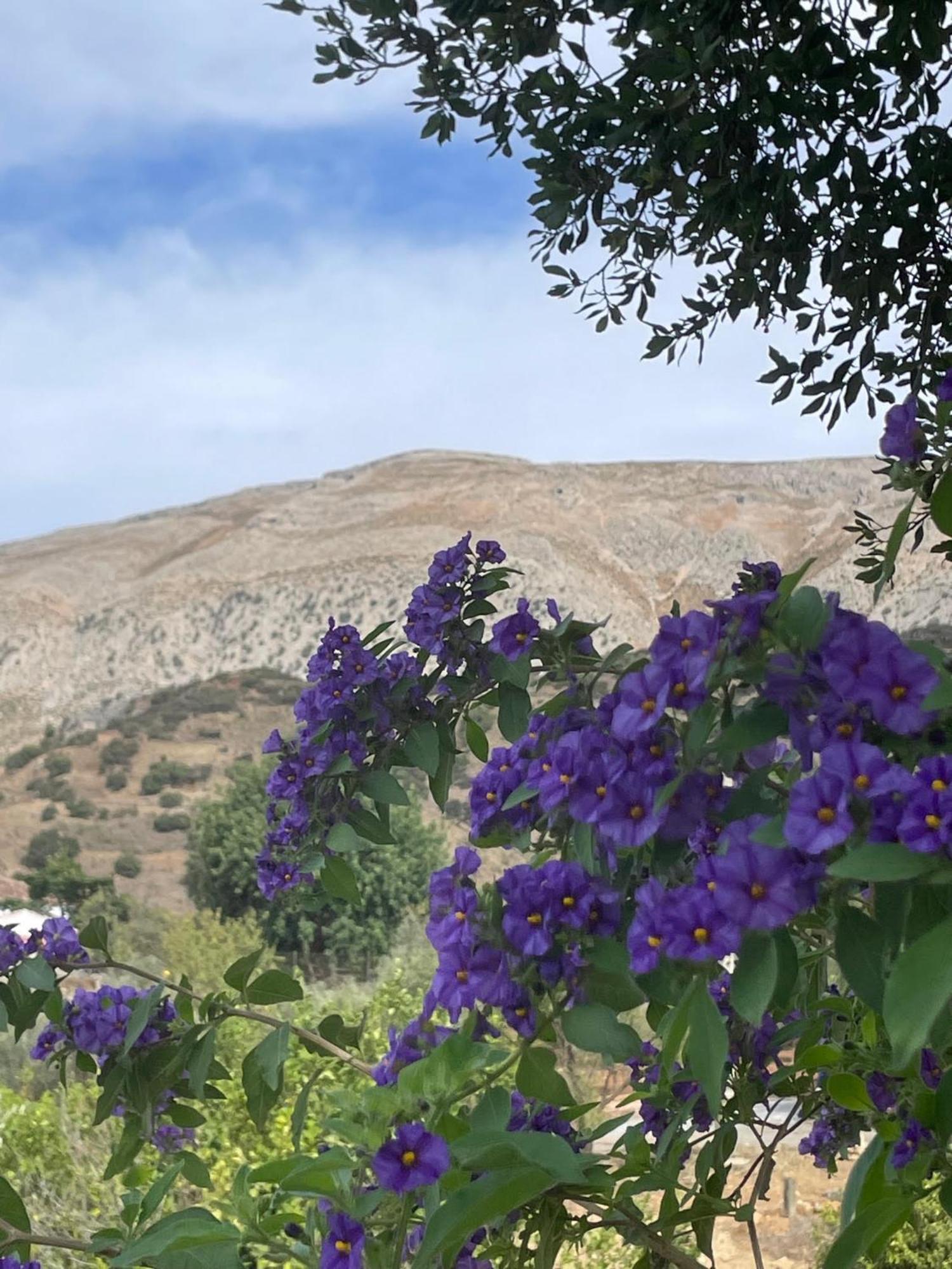 Finca Valle Verde Alora Dış mekan fotoğraf