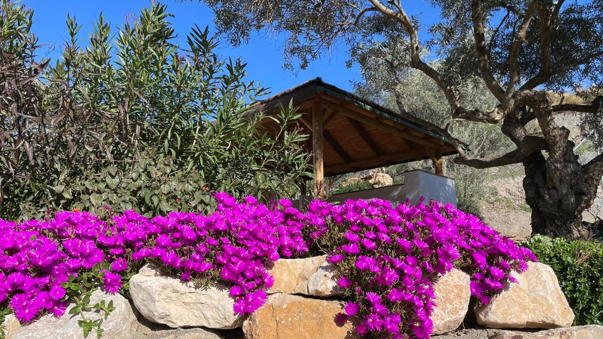 Finca Valle Verde Alora Dış mekan fotoğraf